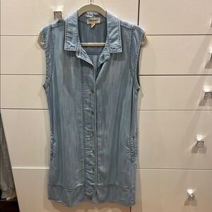 Cloth & Stone Blue Sleeveless Notched Collar Dress